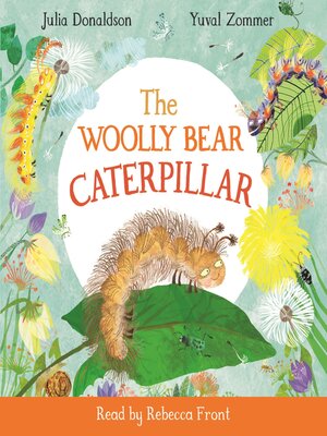 cover image of The Woolly Bear Caterpillar